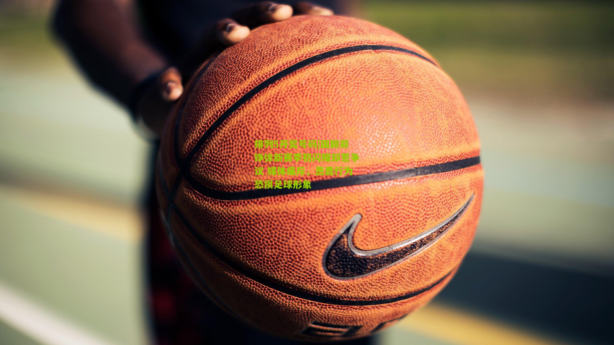 国脚郑铮徐新赛季初闪耀却惹争议 媒体痛斥，愚蠢行为恐损足球形象