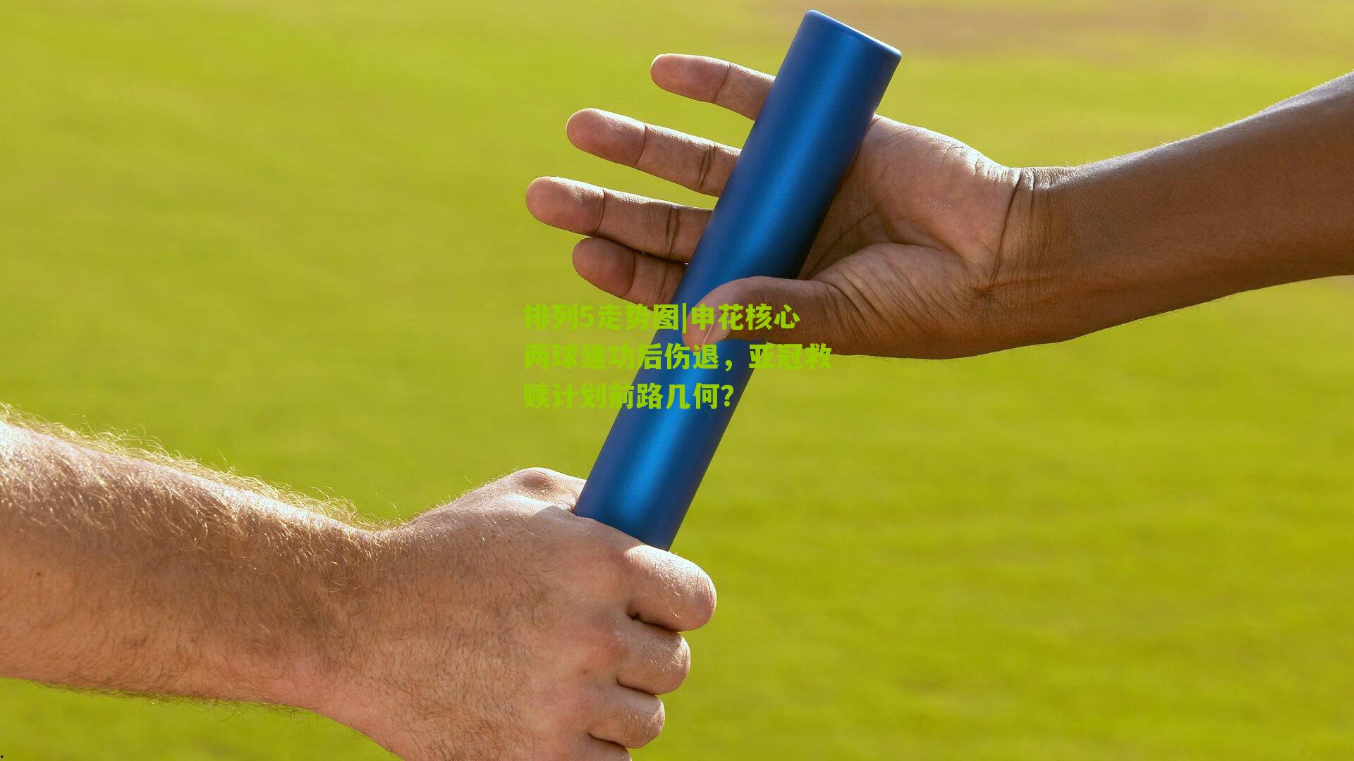 申花核心两球建功后伤退,亚冠救赎计划前路几何?